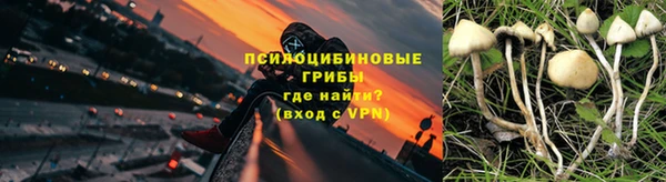 PSILOCYBIN Горно-Алтайск