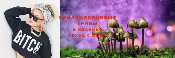 меф Горнозаводск