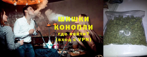 прущие грибы Ступино