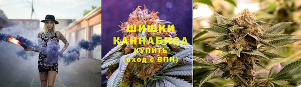 a pvp Горняк