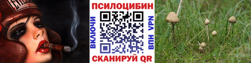 Псилоцибиновые грибы Cubensis  даркнет сайт  Рудня 